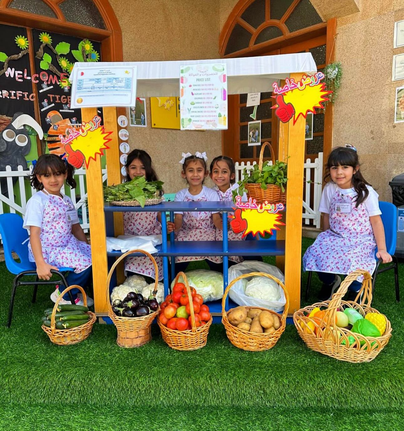 روضة النجوم الصغيرة