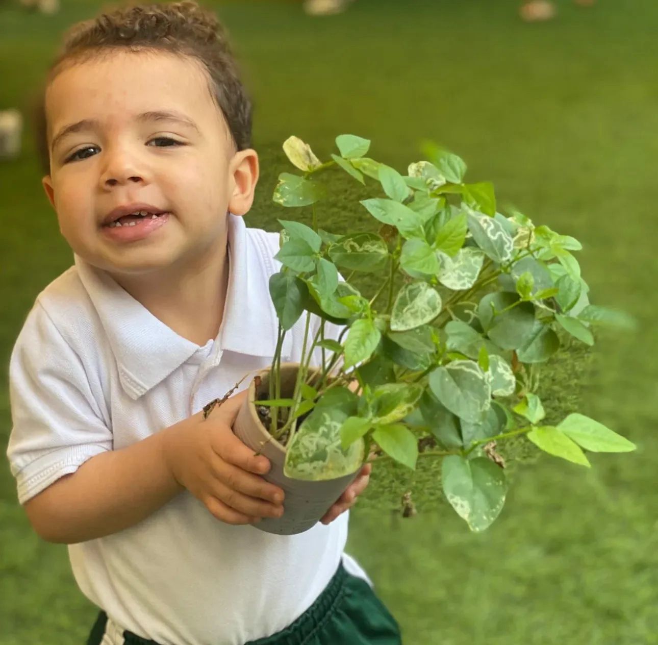 حضانة الطفل السعيد