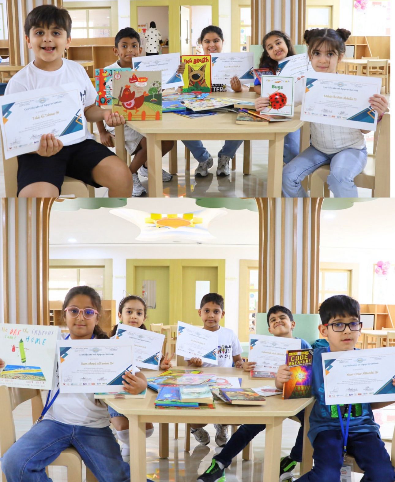 مدرسة النسيم الدولية