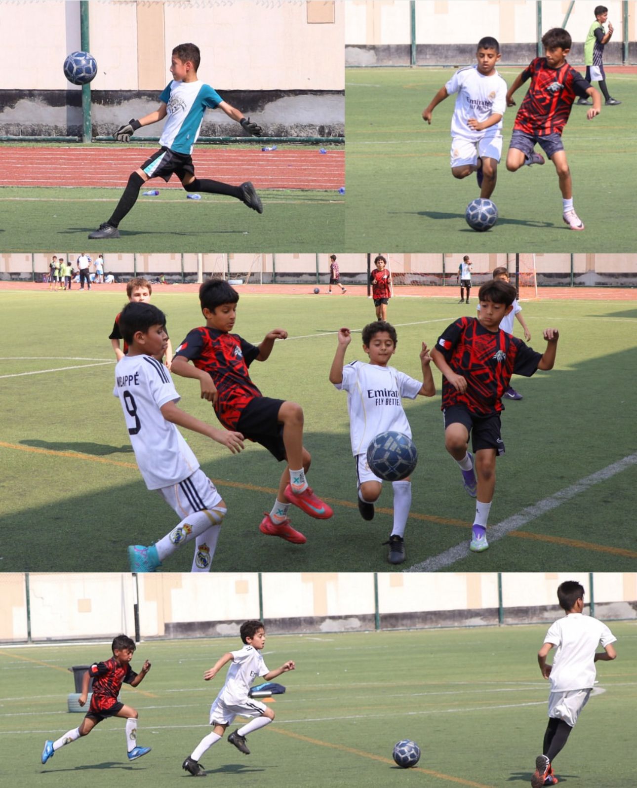 مدرسة النسيم الدولية